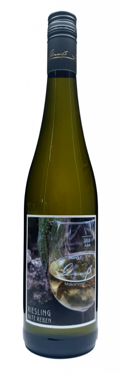 2025 Riesling "Alte Reben"
