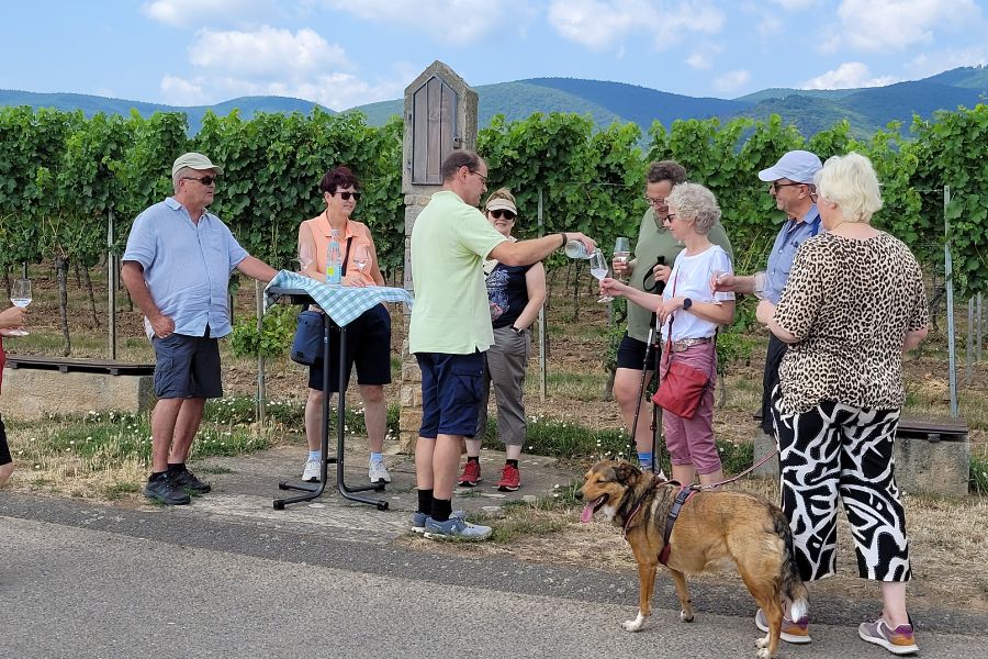 weingut-gross-weinprobe-2